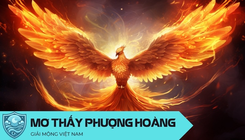 Nằm mơ thấy phượng hoàng: Biểu tượng tái sinh và năng lượng hỏa, đánh con gì?