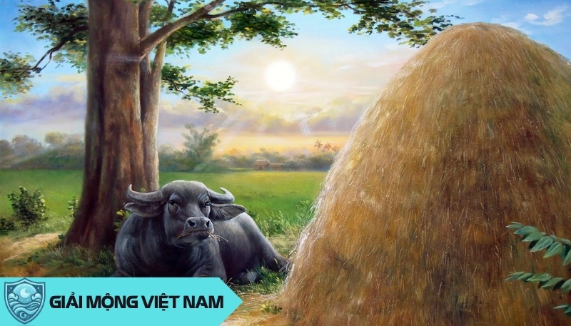 Nằm mơ thấy trâu: Điềm báo từ con vật mạnh mẽ và cần cù, đánh con gì?