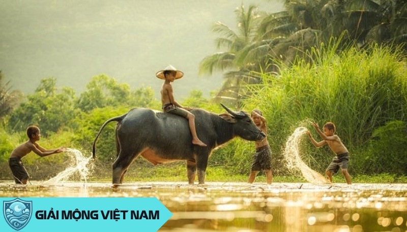 Nằm mơ thấy trâu nước: Ý nghĩa sâu xa từ loài vật dũng mãnh và thích nghi